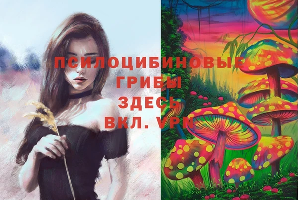 кокаин премиум Алексеевка